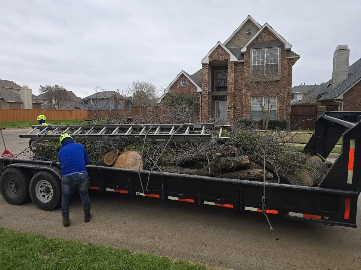 Expert Tree Removal with proper safety equipment in Bowerston